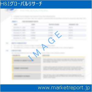 市場と産業調査レポートのイメージ